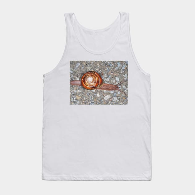 Pacific sideband snail (Monadenia fidelis) Tank Top by SDym Photography